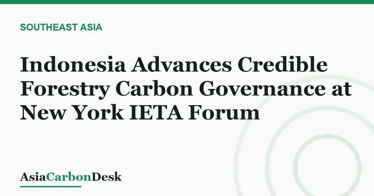 Indonesia Advances Credible Forestry Carbon Governance at New York IETA Forum