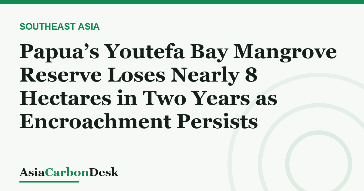 Papua’s Youtefa Bay Mangrove Reserve Loses Nearly 8 Hectares in Two Years as Encroachment Persists