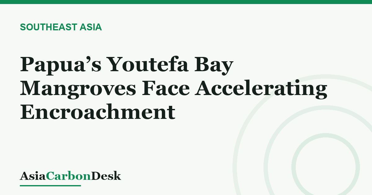 Papua’s Youtefa Bay Mangroves Face Accelerating Encroachment
