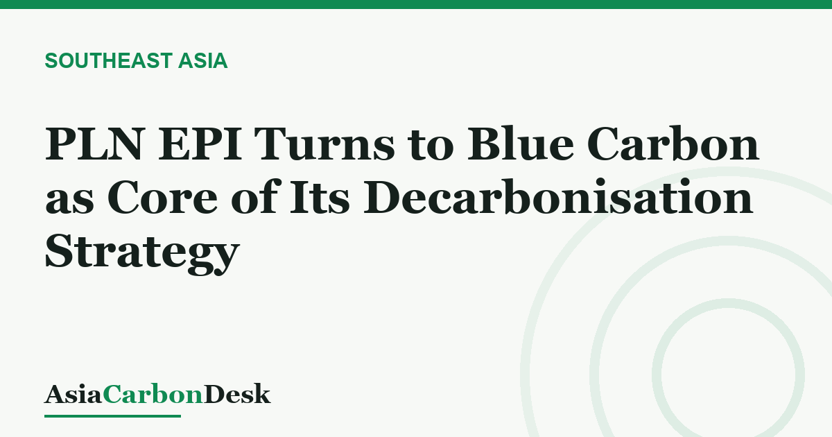 PLN EPI Turns to Blue Carbon as Core of Its Decarbonisation Strategy