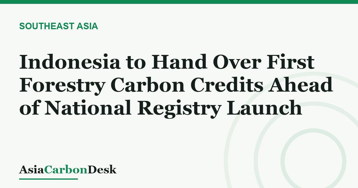 Indonesia to Hand Over First Forestry Carbon Credits Ahead of National Registry Launch